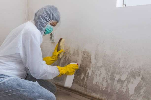 Best Industrial Mold Remediation in Jean Fitte, LA