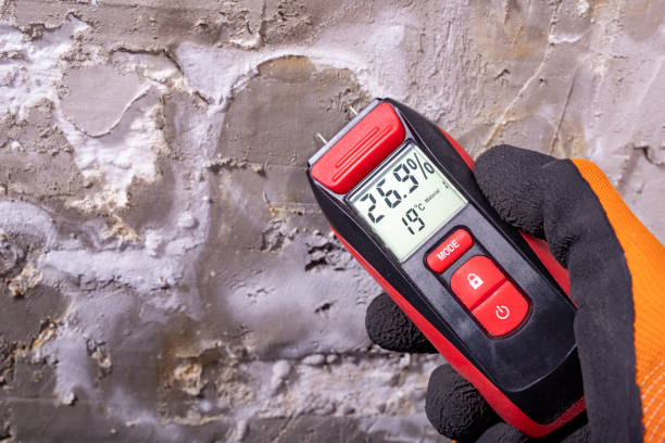 Best Kitchen Mold Remediation in Jean Fitte, LA